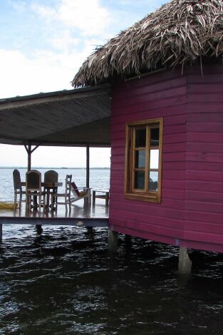 Quiero vivir en el Caribe. T(T12). Quiero vivir en... (T12): La elegancia de California en Panamá