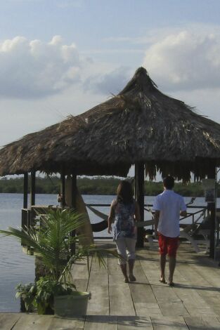 Quiero vivir en el Caribe. T(T12). Quiero vivir en... (T12): Trabajar duro sin apenas trabajar en Utila