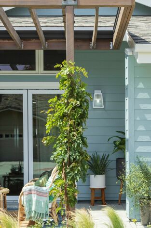 Casas con encanto. T(T2). Casas con encanto (T2): Un palacio para cachorros