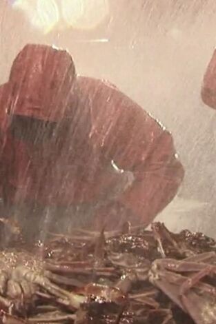 Pesca radical. T(T4). Pesca radical (T4): Época de tormentas