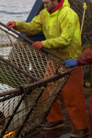 Pesca radical. T(T8). Pesca radical (T8): Eslabones débiles