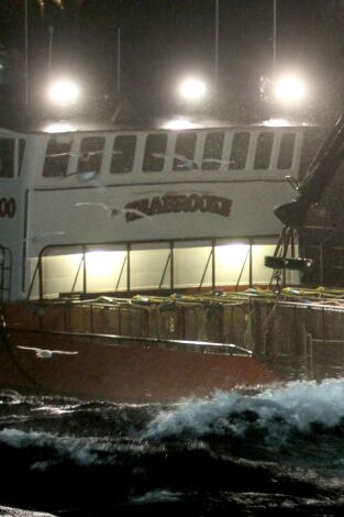 Pesca radical. T(T8). Pesca radical (T8): Las secuelas