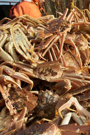 Pesca radical. T(T8). Pesca radical (T8): Sin acceso al mar