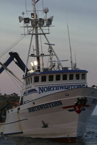 Pesca radical. T(T12). Pesca radical (T12): Sangre y vísceras