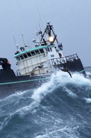 Pesca radical. T(T13). Pesca radical (T13): Golpes demoledores