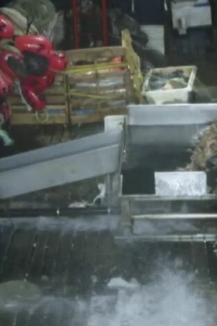 Pesca radical. Pesca radical: Alianza impía