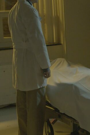Detective McFadden investiga. Detective McFadden...: Atropello y fuga