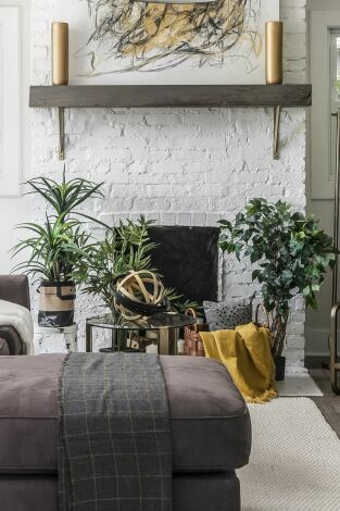 Mi casa es tu casa. Mi casa es tu casa: Estancia principal