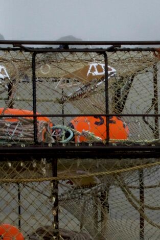 Pesca radical. T(T16). Pesca radical (T16): Rivales de la Guerra Fría