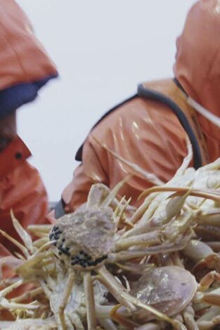 Pesca radical. T(T17). Pesca radical (T17): La verdad te hará libre