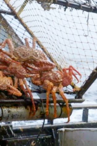 Pesca radical. T(T19). Pesca radical (T19): Desorden en la frontera