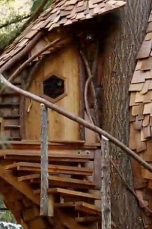 Mi casa en un árbol. Mi casa en un árbol: Colmena en los árboles