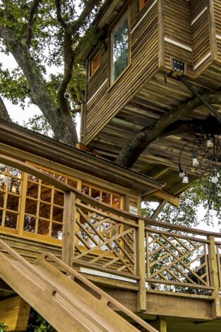Mi casa en un árbol. T(T3). Mi casa en un árbol (T3): Batiendo récords