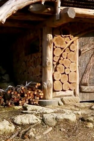 Mi casa en un árbol, Season 3. Mi casa en un árbol,...: Mi casa en un árbol: internacional