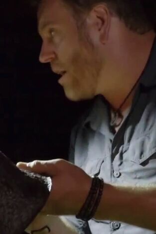 Expedición al pasado, Season 7. Expedición al pasado,...: El Día D en profundidad