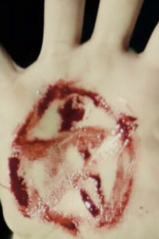 Buscadores de fantasmas. T(T25). Buscadores de... (T25): Petrificados en Pahrump