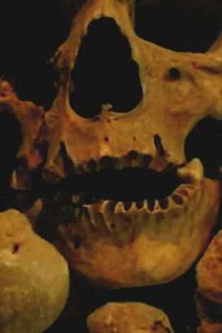 Buscadores de fantasmas. T(T25). Buscadores de... (T25): La maldición de Catalina Island