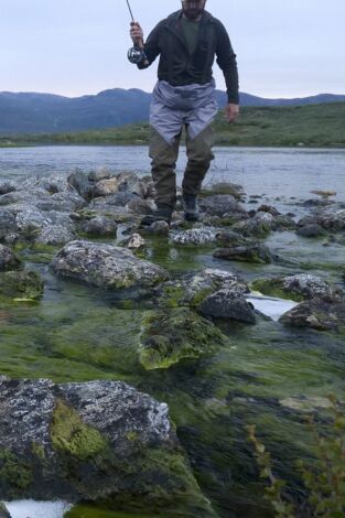Fish or Die. Fish or Die: Los cuatro vikingos