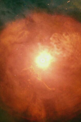 La historia del Universo. T(T9). La historia del... (T9): La próxima supernova