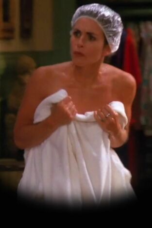 Friends. T(T1). Friends (T1): Ep.13 El de los melones