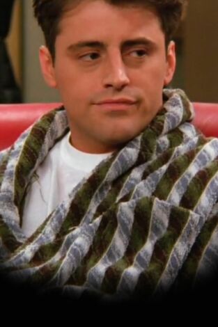 Friends. T(T2). Friends (T2): Ep.18 El de cuando el Dr. Ramoray muere