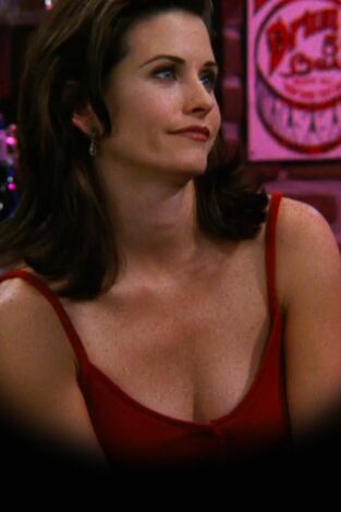 Friends. T(T3). Friends (T3): Ep.6 El del flashback