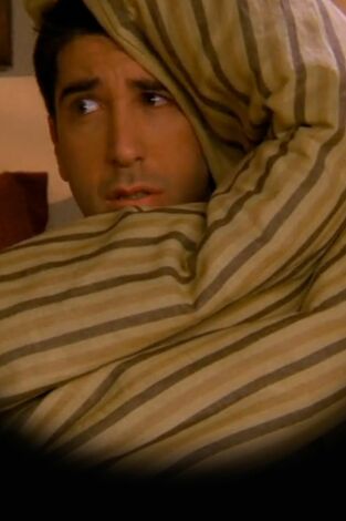 Friends. T(T3). Friends (T3): Ep.16 El de la mañana siguiente
