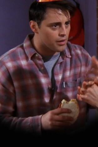 Friends. T(T4). Friends (T4): Ep.16 El de la fiesta falsa
