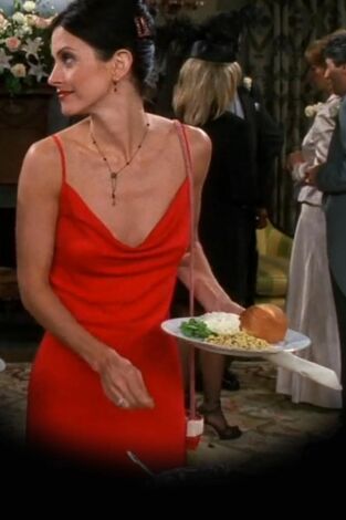 Friends. T(T5). Friends (T5): Ep.1 El de después de que Ross dijera el nombre de Rachel