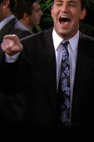 Friends. T(T5). Friends (T5): Ep.12 El de la risa de trabajo de Chandler