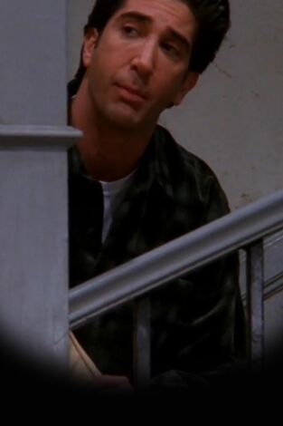 Friends. T(T5). Friends (T5): Ep.16 El del policía