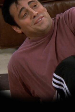 Friends. T(T6). Friends (T6): Ep.4 En el que Joey pierde su seguro