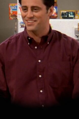 Friends. T(T6). Friends (T6): Ep.19 El del frigorífico de Joey