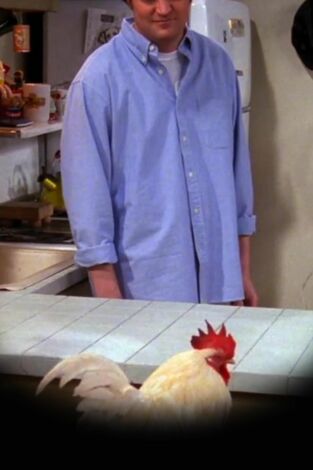 Friends. T(T6). Friends (T6): Ep.20 El de Mac y C.H.E.S.S.E.