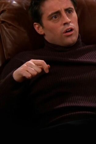 Friends. T(T7). Friends (T7): Ep.21 El de los votos