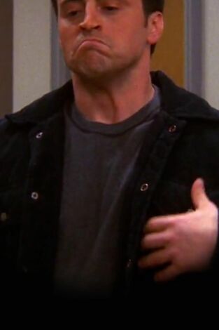 Friends. T(T8). Friends (T8): Ep.16 El de cuando Joey se lo dice a Rachel
