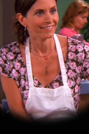 Friends. T(T8). Friends (T8): Ep.21 El de la clase de cocina