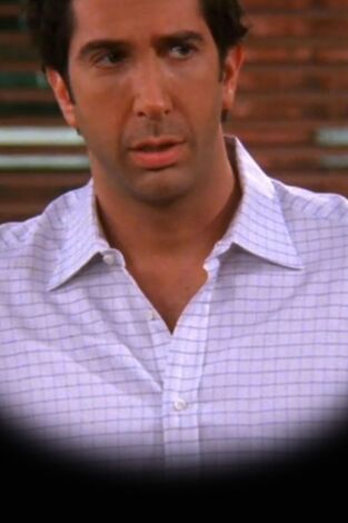 Friends. T(T9). Friends (T9): Ep.6 El del niñero