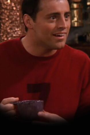 Friends. T(T9). Friends (T9): Ep.14 El de las citas a ciegas