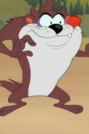 Looney Tunes Cartoons. T(T1). Looney Tunes... (T1): ¡La llaventura! / Gag del agujero: martillo que te pillo / Sed endiablada