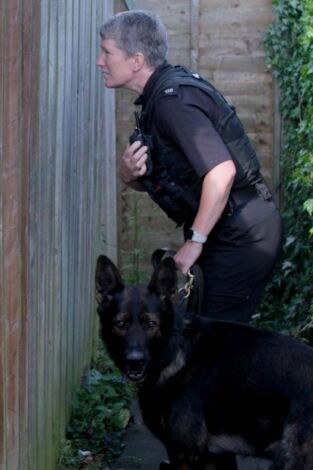 Perros detectives. T(T1). Perros detectives (T1): Grandes blandengues