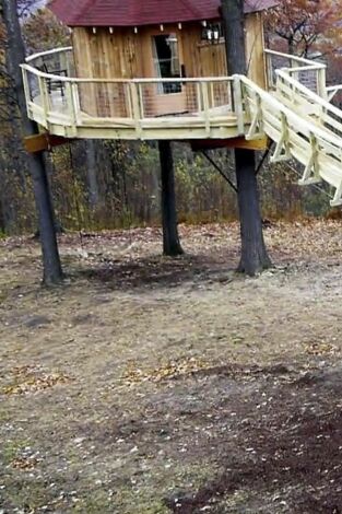 Mi casa en un árbol, Season 3. Mi casa en un árbol,...: Bungaló del oso pardo