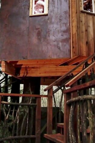 Mi casa en un árbol, Season 3. Mi casa en un árbol,...: El estudio de grabación más alto