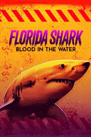 Tiburones en Florida. Tiburones en Florida