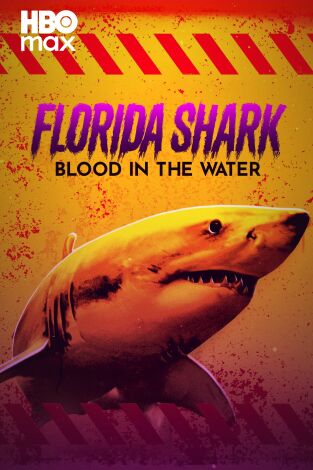 Tiburones en Florida