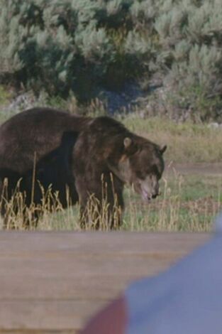 Man Vs Bear. T(T1). Man Vs Bear (T1): Enfrentamiento final sobrehumano