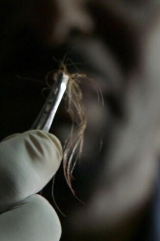 Hasta que la muerte nos separe. Hasta que la muerte...: Retorcida y enferma