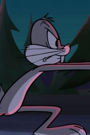 New Looney Tunes. T(T1). New Looney Tunes (T1): Orejas, ¿para qué os quiero? / Callejones de fuego