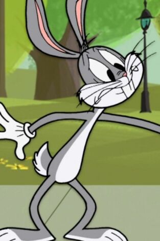 New Looney Tunes. T(T1). New Looney Tunes (T1): Pirados por los helados / Ángelo la pulga forzuda
