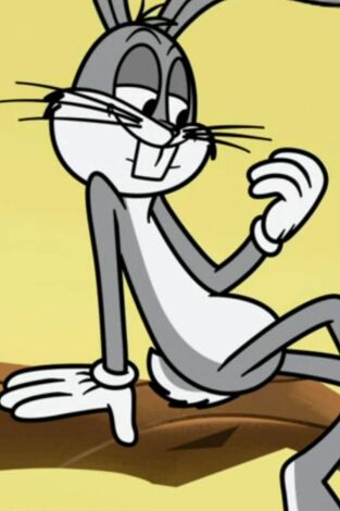 New Looney Tunes. T(T3). New Looney Tunes (T3): Sin Acción de Gracias / Darkbat